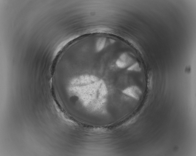 X0000111791117200908131405