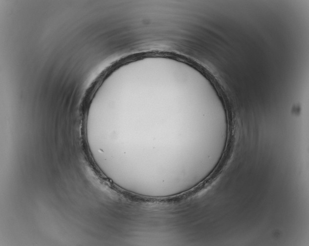 X0000111791118200908131405