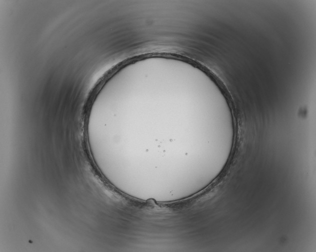 X0000111791119200908131406