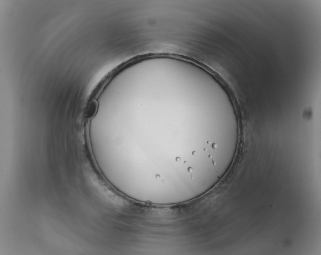 X0000111791120200908131406