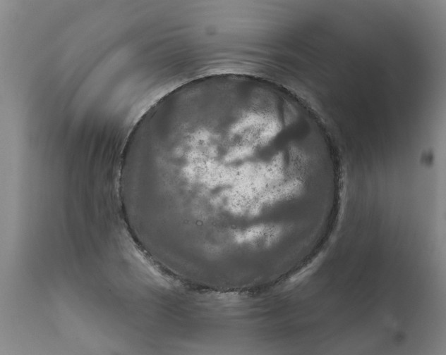 X0000111791121200908131406