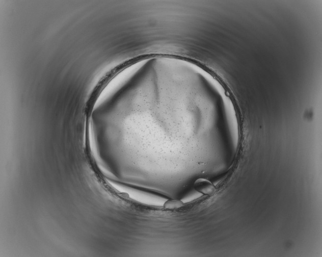 X0000111791123200908131406