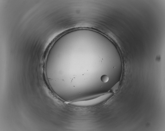 X0000111791124200908131406