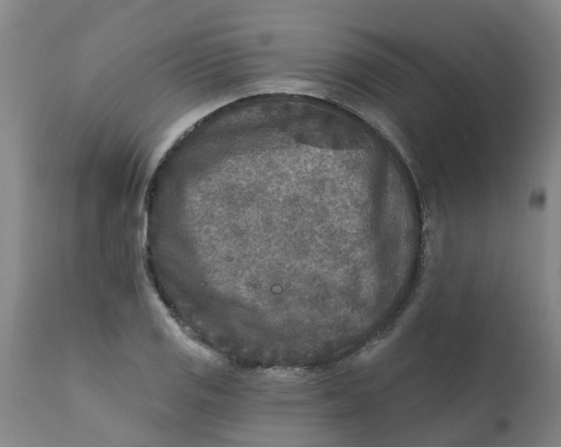 X0000111791125200908131406