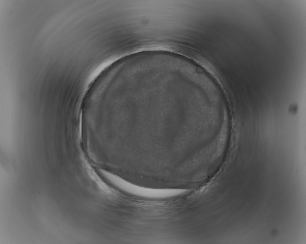 X0000111791127200908131406