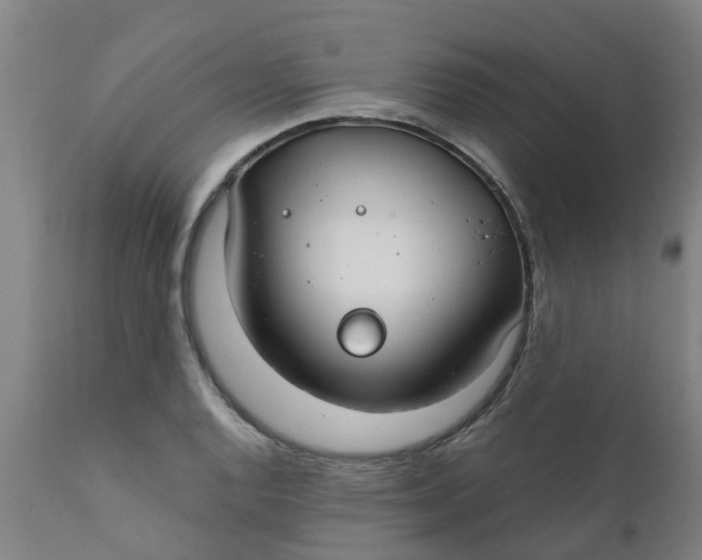 X0000111791128200908131406