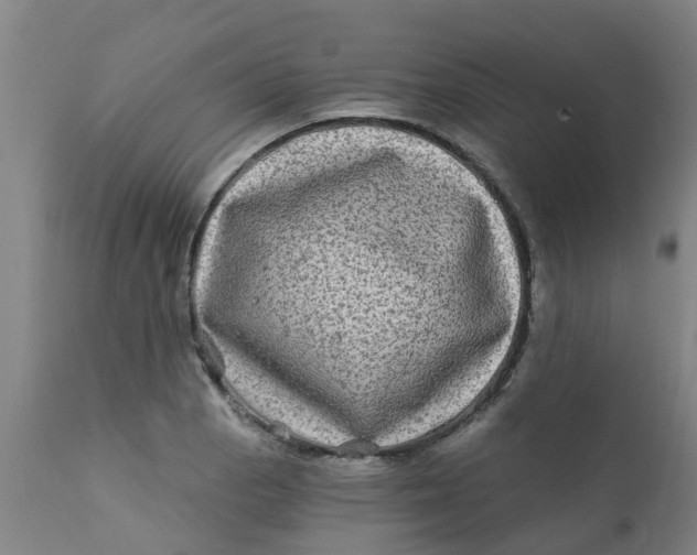 X0000111791129200908131406