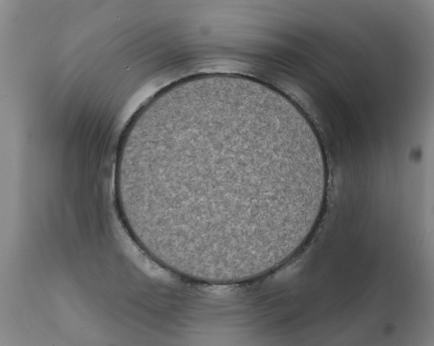 X0000111791130200908131406