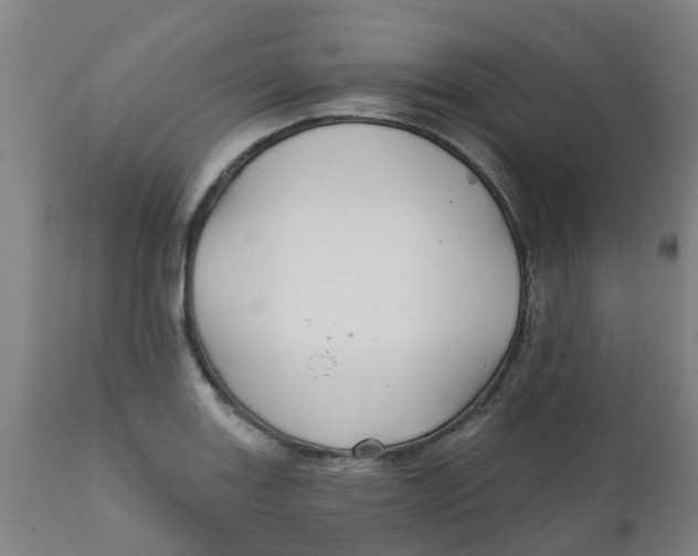 X0000111791131200908131406