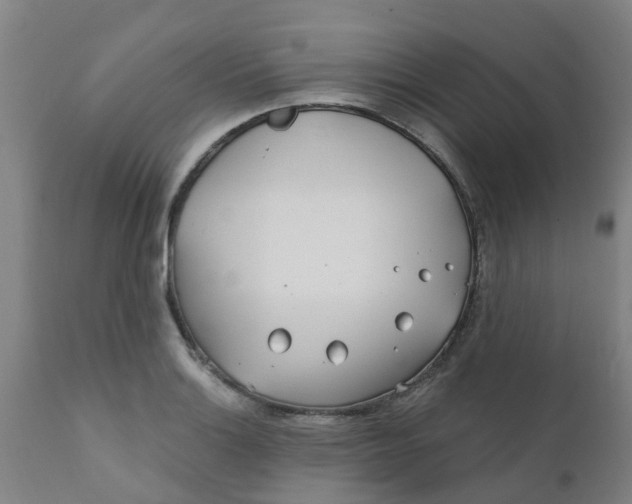 X0000111791132200908131406