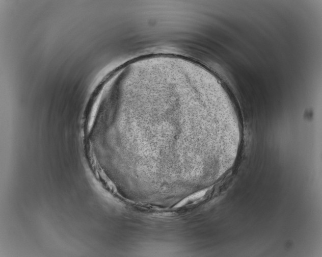 X0000111791133200908131406