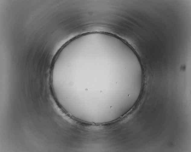 X0000111791134200908131406