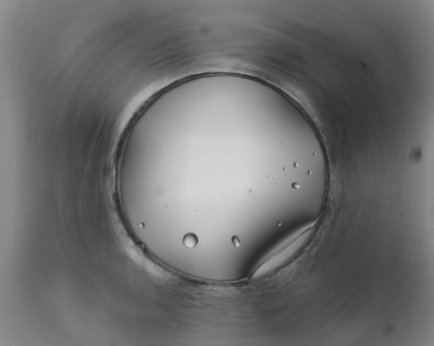 X0000111791136200908131406