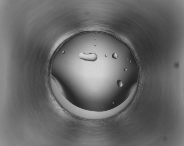 X0000111791138200908131406