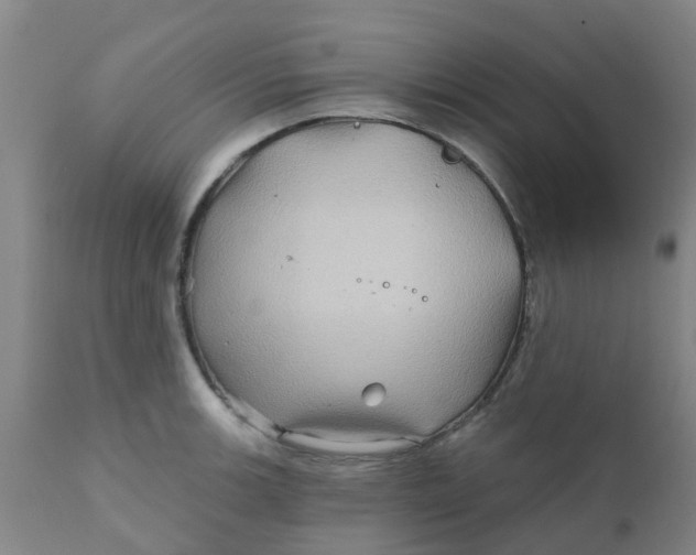 X0000111791139200908131406