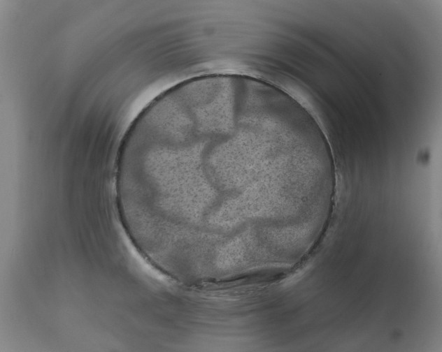 X0000111791141200908131406