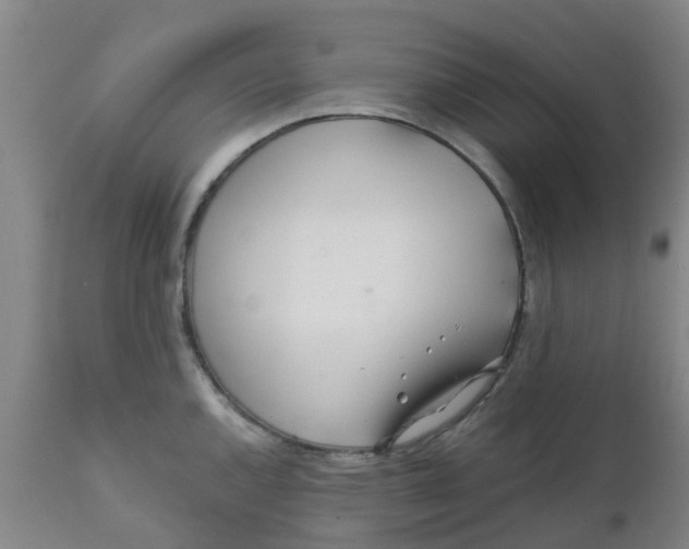 X0000111791144200908131406