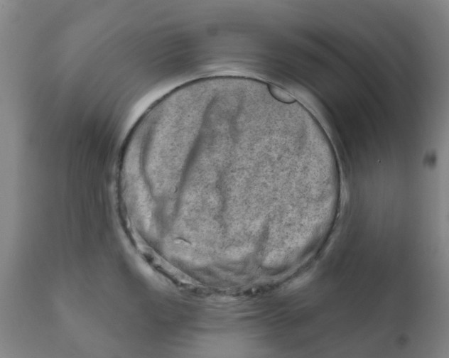 X0000111791149200908131406