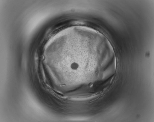 X0000111791151200908131406