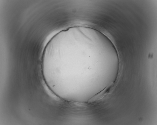 X0000111791152200908131406