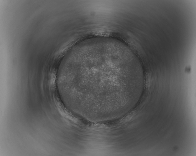 X0000111791154200908131405