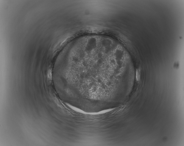 X0000111791155200908131405