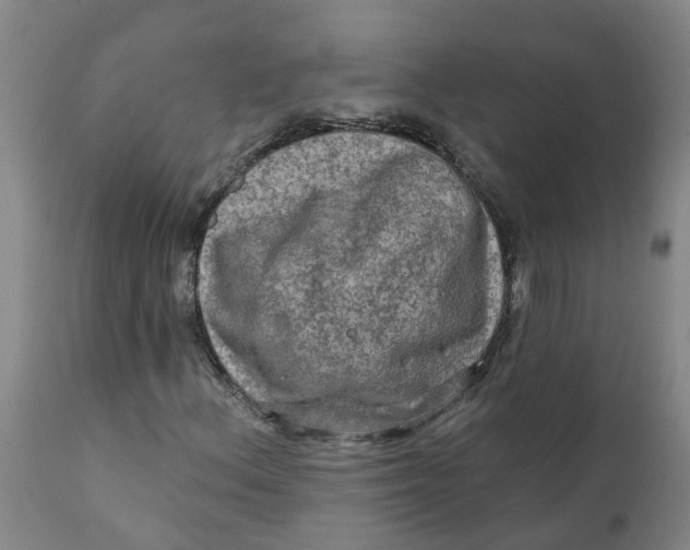 X0000111791156200908131405