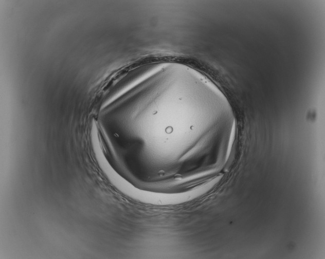 X0000111791157200908131405