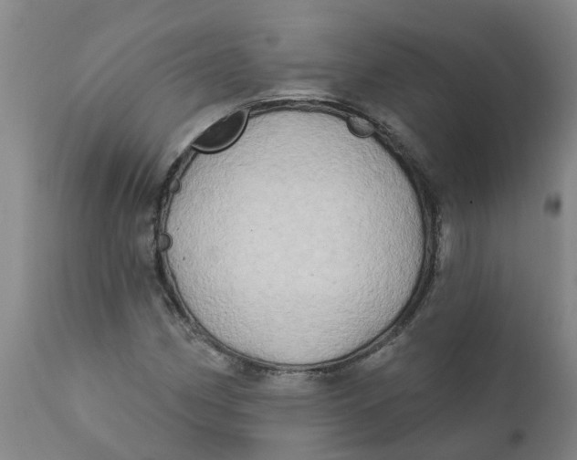 X0000111791162200908131405