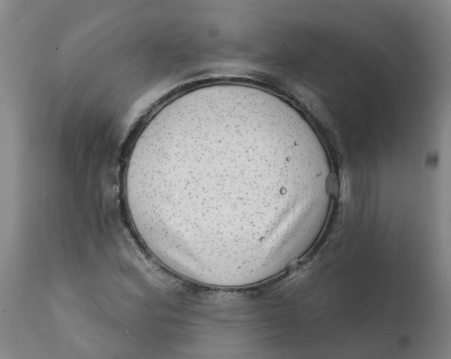 X0000111791164200908131405