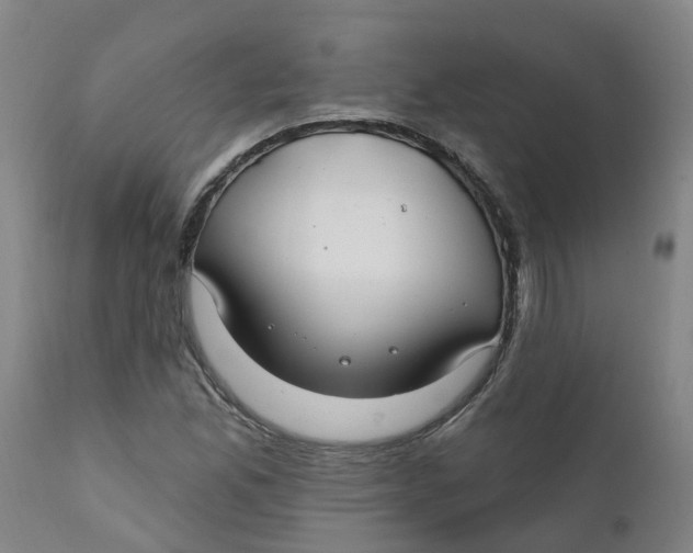 X0000111791165200908131405