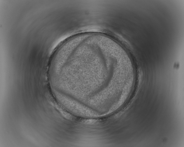 X0000111791166200908131405