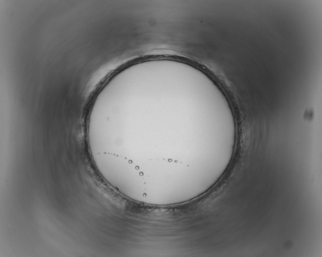 X0000111791167200908131405