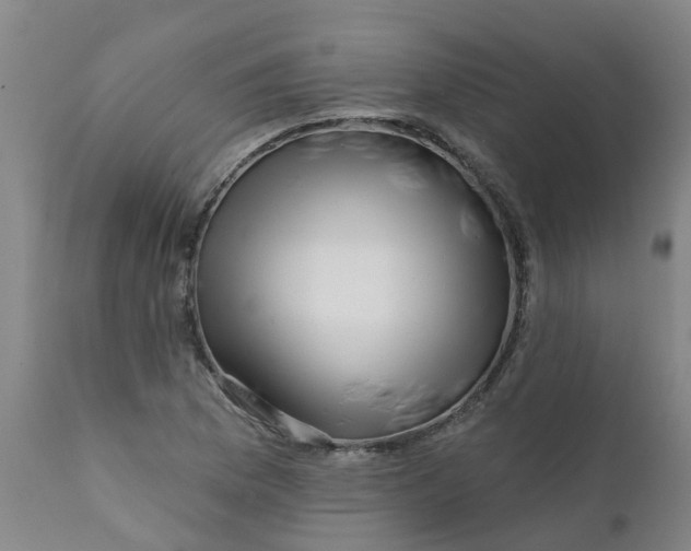 X0000111791169200908131405