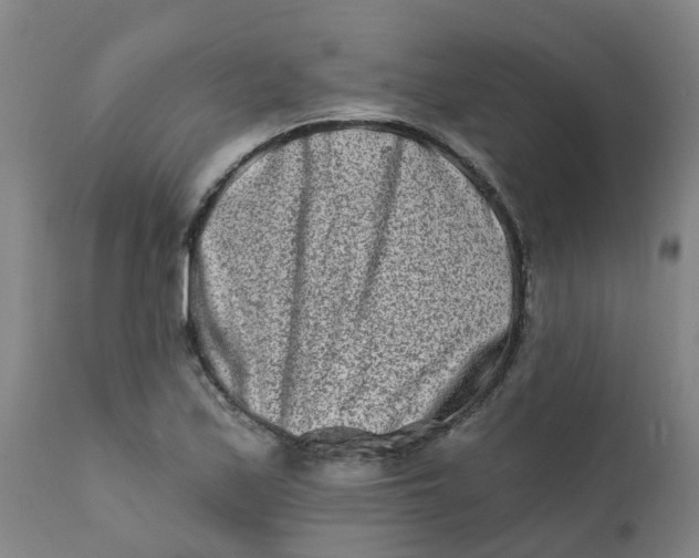 X0000111791171200908131405