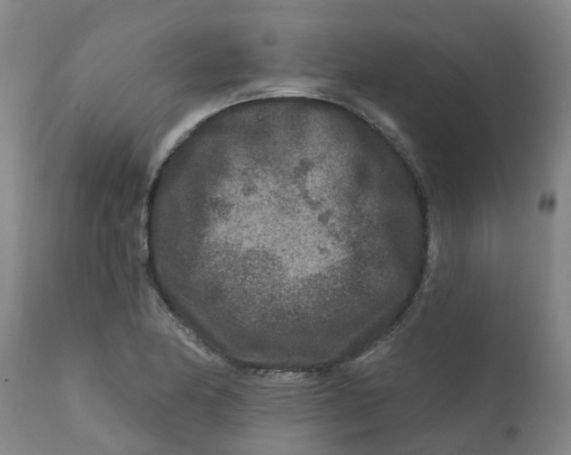 X0000111791174200908131405