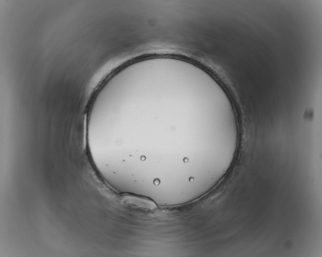 X0000111791175200908131405