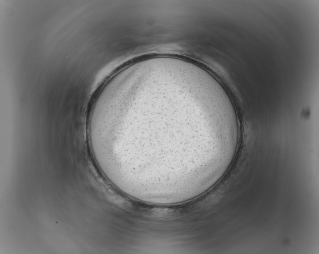 X0000111791176200908131405