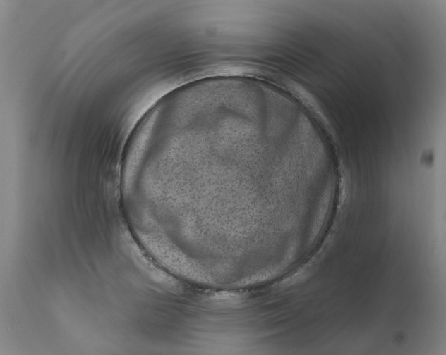 X0000111791178200908131405