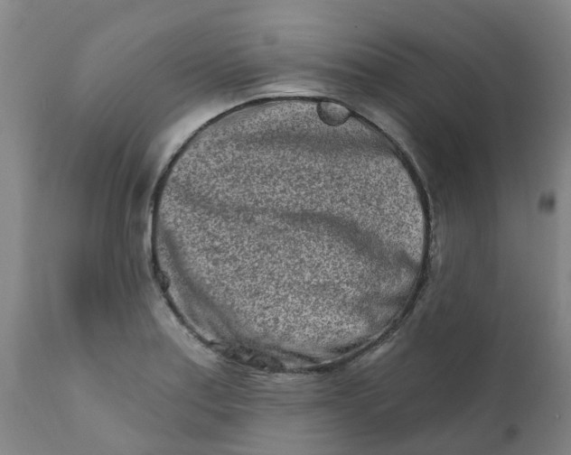 X0000111791179200908131405