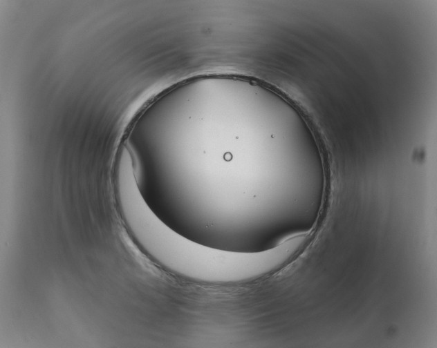 X0000111791181200908131405