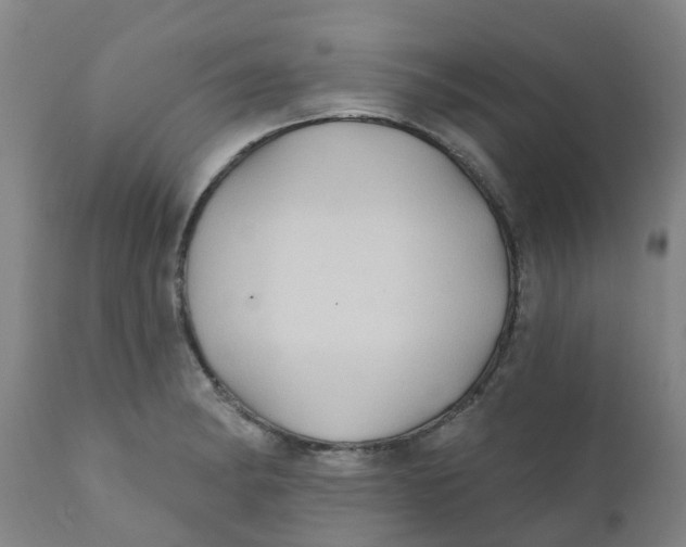 X0000111791182200908131405