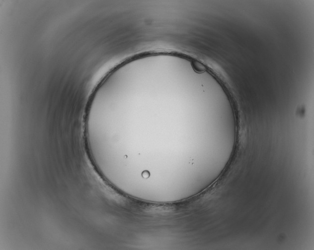 X0000111791183200908131405