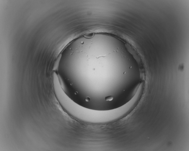 X0000111791185200908131405