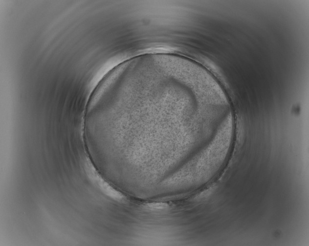 X0000111791186200908131405