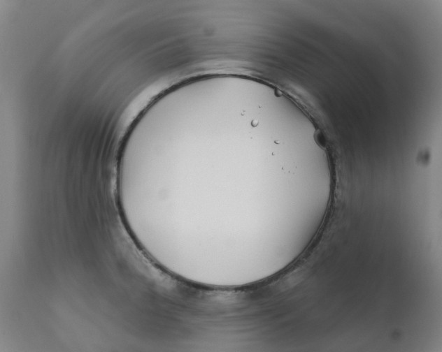 X0000111791188200908131405