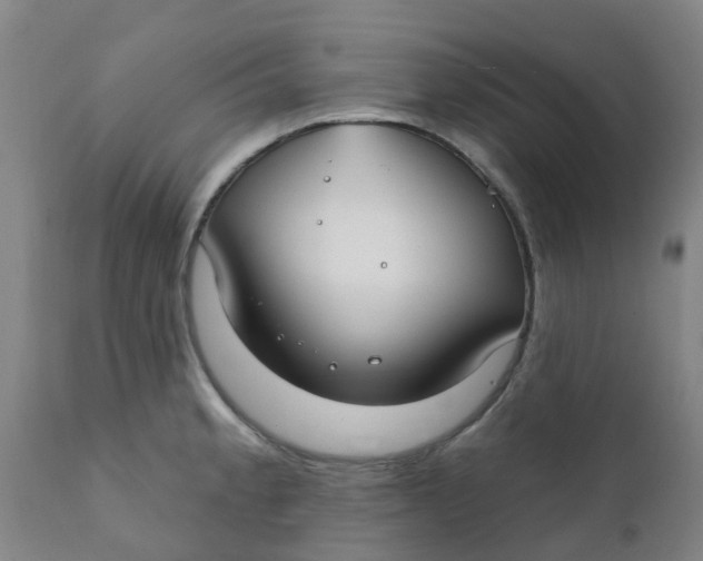 X0000111791189200908131405