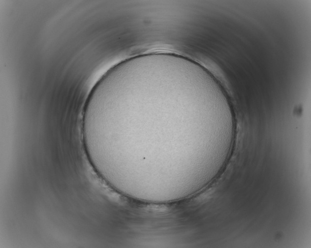 X0000111791190200908131405