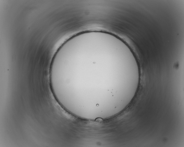 X0000111791191200908131405