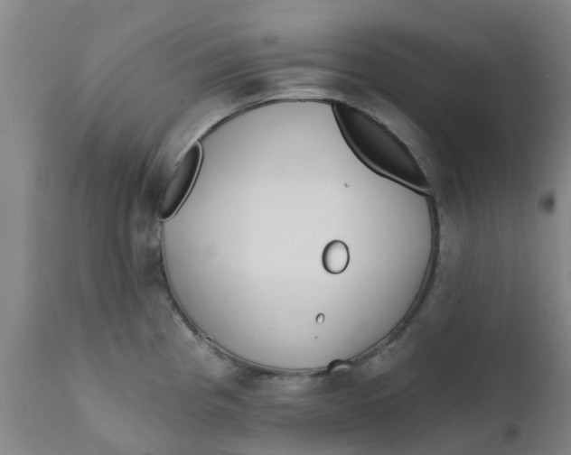 X0000111791193200908131405